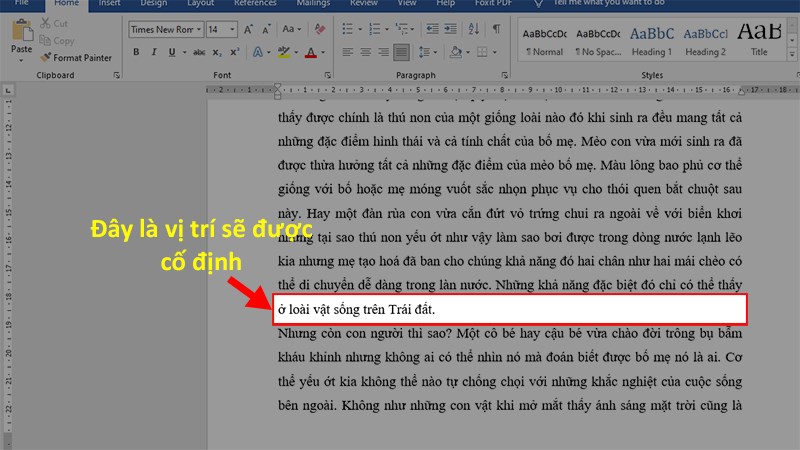 Mở file Word cần cố định > Để con trỏ chuột ở vị trí cần cố định